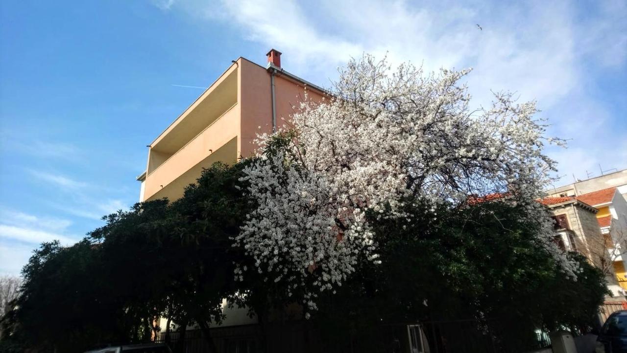 Split Symphony Garden: Modern, New Apartment Zewnętrze zdjęcie